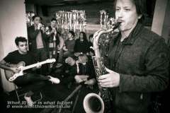 tante_fox_chitarrista